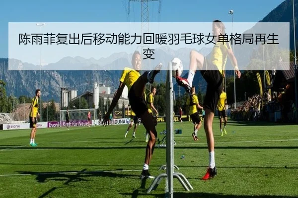 img_1791997110898_1768_0_258.jpg(milansport.com)
